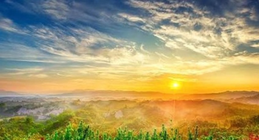 物料素材库 - 麻豆传媒 - 分类整理的创意物料资源平台
